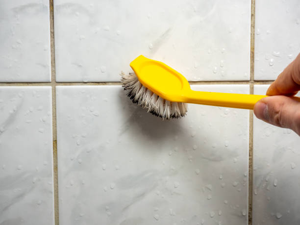 Best Health and Safety Mold Remediation in Big Stone Gap, VA