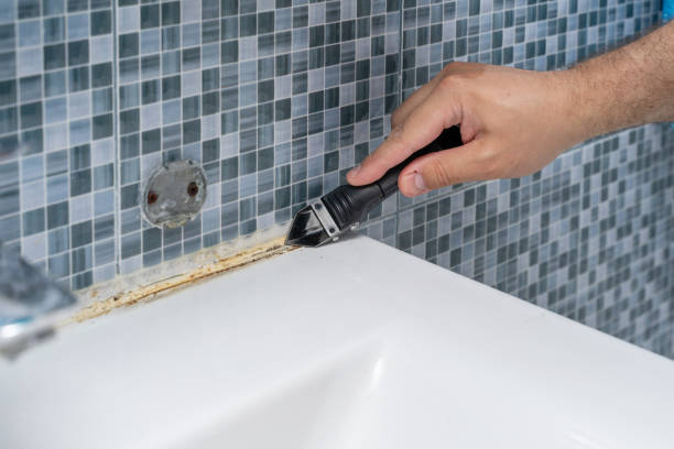 Best Kitchen Mold Remediation in Big Stone Gap, VA